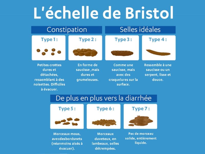 couleurs
